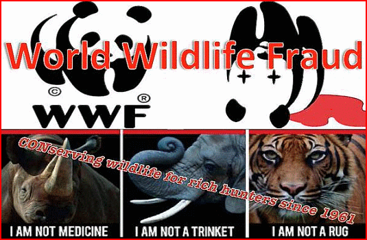 - - WWF pic_wwf_fraud