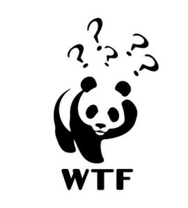 - - WWF wwf-wtf-bear-from-presentationpictures